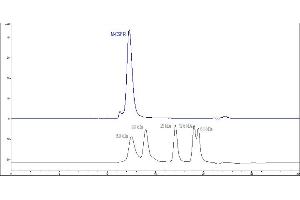 The purity of Human M-CSF R, His Tag (ABIN2180910,ABIN2180909) was greater than 90 % as determined by . (CSF1R Protein (AA 20-512) (His tag))
