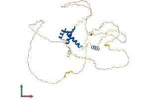 Protein Structure (PS) image for EVX1 (EVX1) (AA 1-407) protein (His tag) (ABIN7547486)