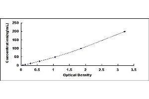 Typical standard curve (Anti-Tumor Necrosis Factor alpha Antibody (Anti-TNFa) ELISA Kit)