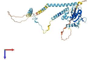 SH2D4A Protein (AA 1-421) (His tag)