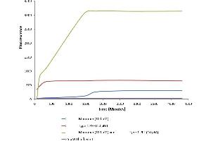 Type 1 alpha synuclein pre-formed fibrils (ABIN5651242, ABIN5651243 and ABIN5651244) seed the formation of new alpha synuclein fibrils from the pool of alpha synuclein monomers (ABIN5651242, ABIN5651243 and ABIN5651244). (SNCA Protein (full length))