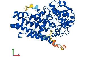 Protein Structure (PS) image for Indoleamine 2,3-Dioxygenase 1 (IDO1) (AA 1-403) protein (His tag) (ABIN7554146)