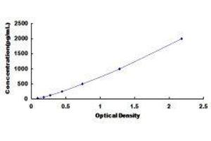 ELISA image for Tumor Necrosis Factor (Ligand) Superfamily, Member 9 (TNFSF9) ELISA Kit (ABIN419580)