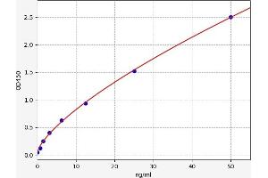 Typical standard curve (EXT1 ELISA Kit)