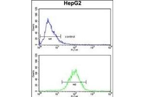 SPCS3 Antibody (C-term) (ABIN390623 and ABIN2840930) flow cytometry analysis of HepG2 cells (bottom histogram) compared to a negative control cell (top histogram). (SPCS3 Antikörper  (C-Term))