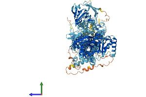 Protein Structure (PS) image for ATPase, Class I, Type 8A, Member 2 (ATP8A2) (AA 1-1148) protein (His tag) (ABIN7563572)