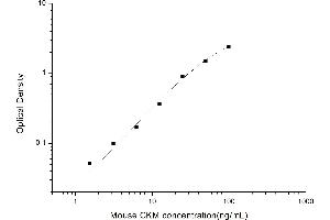 Creatine Kinase, Muscle (CKM) ELISA Kit