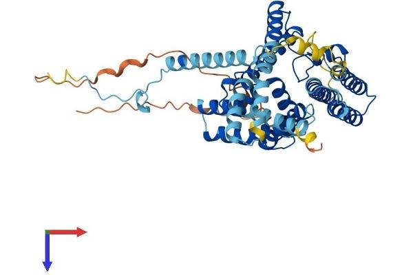 DGAT1 Protein (AA 1-488) (His tag)
