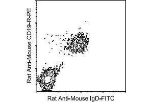 Flow Cytometry (FACS) image for Rat anti-Mouse IgD antibody (FITC) (ABIN356119) (Ratte anti-Maus IgD Antikörper (FITC))