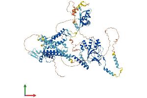Protein Structure (PS) image for Potassium Voltage-Gated Channel, Subfamily H (Eag-Related), Member 5 (KCNH5) (AA 1-988) protein (His tag) (ABIN7554341)