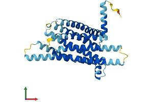 AlphaFold protein structure predicition of Human Recombinant TAS2R31 Protein, UniprotID P59538