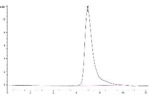 Size-exclusion chromatography-High Pressure Liquid Chromatography (SEC-HPLC) image for Integrin beta-6 (ITGB6) (AA 22-706) protein (His tag) (ABIN7275071)