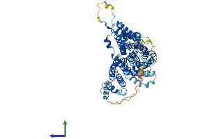 Protein Structure (PS) image for Solute Carrier Family 13 Member 3 (SLC13A3) (AA 1-600) protein (His tag) (ABIN7560097)