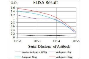 ELISA image for anti-Dynactin 4 (DCTN4) (AA 57-298) antibody (ABIN1843394) (Dynactin 4 Antikörper  (AA 57-298))