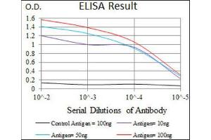 ELISA image for anti-Dynactin 4 (DCTN4) (AA 57-298) antibody (ABIN1843394)
