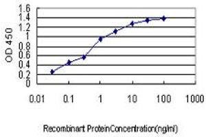 Detection limit for recombinant GST tagged NFYB is approximately 0. (NFYB Antikörper  (AA 1-207))
