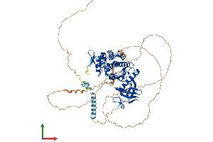 Protein Structure (PS) image for Dual-Specificity tyrosine-(Y)-phosphorylation Regulated Kinase 1B (DYRK1B) (AA 1-629) protein (His tag) (ABIN7565271)