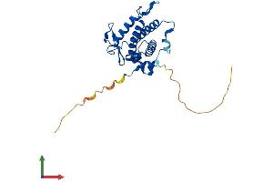 Protein Structure (PS) image for MOB Kinase Activator 2 (MOB2) (AA 1-235) protein (His tag) (ABIN7559949)