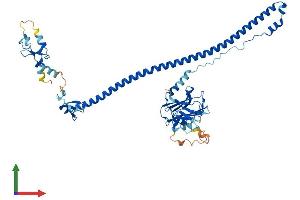 Protein Structure (PS) image for Tripartite Motif Containing 6 (TRIM6) (AA 1-488) protein (His tag) (ABIN7558548)
