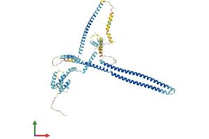 Protein Structure (PS) image for Coiled-Coil Domain Containing 93 (CCDC93) (AA 1-629) protein (His tag) (ABIN7558276)