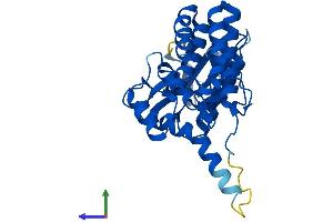 Protein Structure (PS) image for Fructosamine 3 Kinase (FN3K) (AA 1-309) protein (His tag) (ABIN7561417)