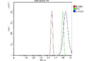 Flow Cytometry analysis of SiHa cells using anti-CEP250 antibody (ABIN7602053). (CEP250 Antikörper  (AA 563-853))