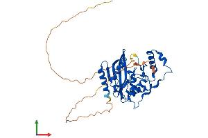 Protein Structure (PS) image for Vasohibin 1 (VASH1) (AA 1-365) protein (His tag) (ABIN7545117)