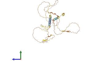 Protein Structure (PS) image for Adherens Junctions Associated Protein 1 (AJAP1) (AA 1-412) protein (His tag) (ABIN7561932)