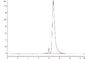 Size-exclusion chromatography-High Pressure Liquid Chromatography (SEC-HPLC) image for Plasminogen Activator, Urokinase Receptor (PLAUR) (AA 23-305) protein (His-Avi Tag,Biotin) (ABIN7275408)