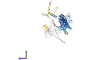 Protein Structure (PS) image for Purinergic Receptor P2X, Ligand Gated Ion Channel 2 (P2RX2) (AA 1-485) protein (His tag) (ABIN7564655)