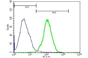 Hela cells probed with Rabbit Anti-MAP1B Polyclonal Antibody, FITC Conjugated (ABIN1388846) at 1:100 for 40 minutes (green)compared to control cells (blue). (MAP1B Antikörper  (AA 451-550) (FITC))
