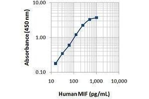 ELISA image for anti-Macrophage Migration Inhibitory Factor (Glycosylation-Inhibiting Factor) (MIF) antibody (ABIN2665273) (MIF Antikörper)