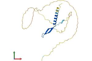 AlphaFold protein structure predicition of Mouse Recombinant Bcl7a Protein, UniprotID Q9CXE2