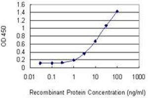 Detection limit for recombinant GST tagged SLMAP is 0. (SLMAP Antikörper  (AA 677-784))