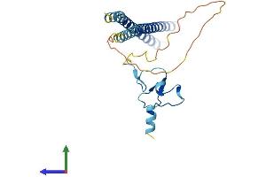 AlphaFold protein structure predicition of Human Recombinant ING5 Protein, UniprotID Q8WYH8 (ING5 Protein (AA 1-240) (His tag))