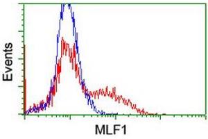 Flow Cytometry (FACS) image for anti-Myeloid Leukemia Factor 1 (MLF1) antibody (ABIN1499494) (MLF1 Antikörper)