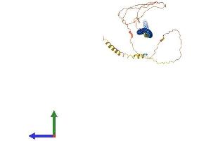 Protein Structure (PS) image for Golgi Membrane Protein 1 (GOLM1) (AA 1-401) protein (His tag) (ABIN7548122)