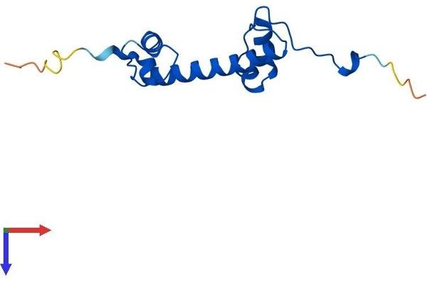 H2AFV Protein (AA 1-128) (His tag)