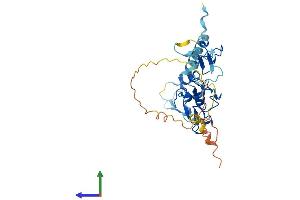 AlphaFold protein structure predicition of Human Recombinant ZNF330 Protein, UniprotID Q9Y3S2