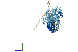 Protein Structure (PS) image for Ankyrin Repeat and SOCS Box-Containing 3 (ASB3) (AA 1-525) protein (His tag) (ABIN7556304)