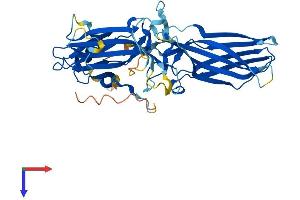 SAG Protein (AA 1-405) (His tag)