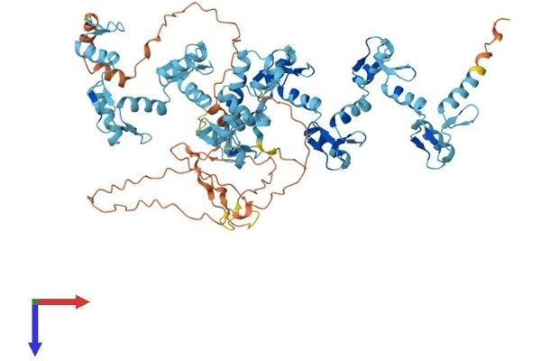 ZNF12 Protein (AA 1-697) (His tag)