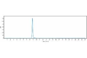 anti-TNFRSF8 (Brentuximab Biosimilar) antibody