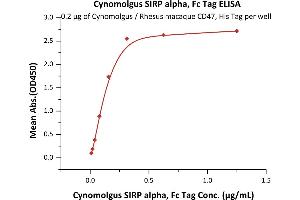 ELISA image for Signal-Regulatory Protein alpha (SIRPA) (AA 31-370) protein (Fc Tag) (ABIN6253558)
