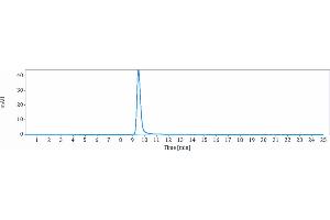 The purity of Anti-IL-6 / IFNb2 Reference Antibody (clazakizumab) is 100 % , determined by SEC-HPLC. (Rekombinanter IL6 (Clazakizumab Biosimilar) Antikörper)