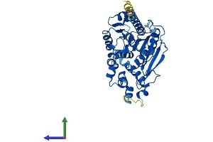 Protein Structure (PS) image for Abhydrolase Domain Containing 2 (ABHD2) (AA 1-425) protein (His tag) (ABIN7551823)