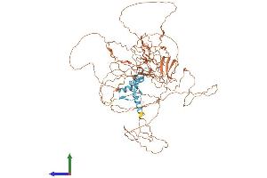 AlphaFold protein structure predicition of Human Recombinant SP4 Protein, UniprotID Q02446 (SP4 Protein (AA 1-784) (His tag))