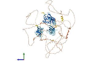 Protein Structure (PS) image for SH3 and PX Domains 2B (SH3PXD2B) (AA 1-908) protein (His tag) (ABIN7561885)