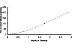 MTPN ELISA Kit