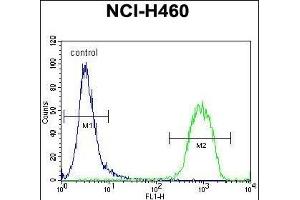 RAD54 Antibody (C-term) (ABIN655910 and ABIN2845309) flow cytometric analysis of NCI- cells (right histogram) compared to a negative control cell (left histogram). (ATRX Antikörper  (C-Term))